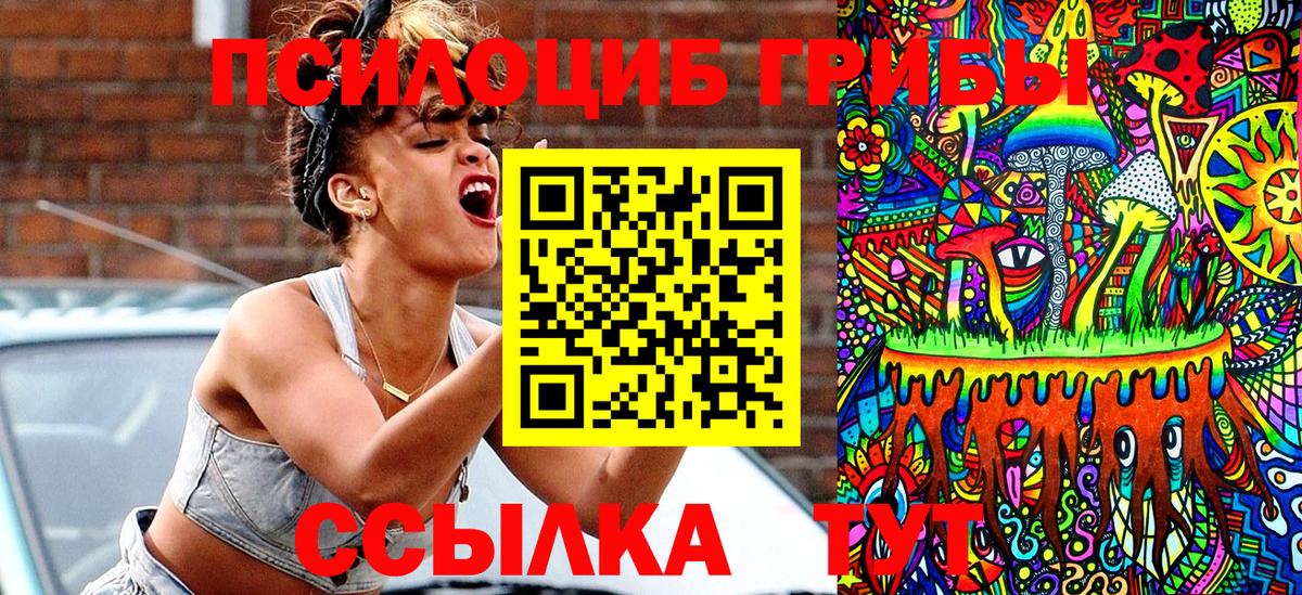 Псилоцибиновые грибы Psilocybine cubensis Приморско-Ахтарск