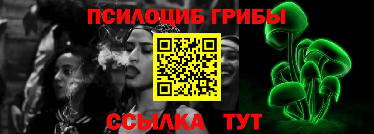 цена   Вход с VPN  Приморско-Ахтарск  Псилоцибиновые грибы Cubensis  Псилоцибиновые грибы Psilocybine cubensis 