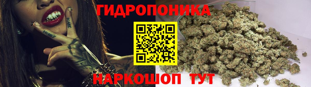 МАРИХУАНА конопля Приморско-Ахтарск